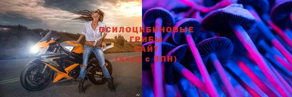 дмт Лагань