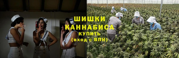 дмт Лагань